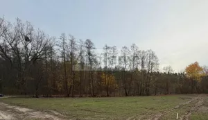Działka 1 849,00 m², Rozalin, Sprzedaż