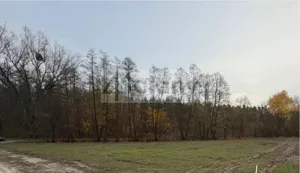 Działka 1 507,00 m², Rozalin, Sprzedaż