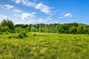 Działka 37 271,00 m², Runów, Sprzedaż