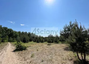 Działka 1 000,00 m², Rusiec, Sprzedaż