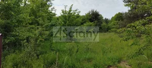 Działka 1 650,00 m², Rusiec, Sprzedaż