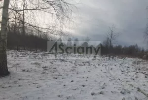 Działka 981,00 m², Rusiec, Sprzedaż
