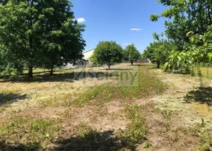 Działka 2 000,00 m², Rusiec, Sprzedaż