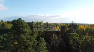 Działka 2 700,00 m², Sękocin-Las, Sprzedaż