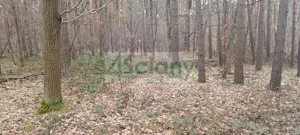 Działka 2 103,00 m², Sękocin-Las, Sprzedaż