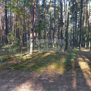 Działka 2 100,00 m², Sękocin-Las, Sprzedaż