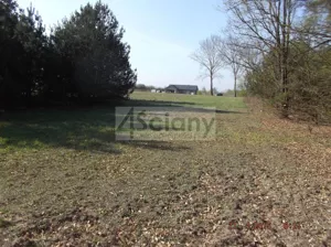 Działka 21 000,00 m², Sierzchów, Sprzedaż
