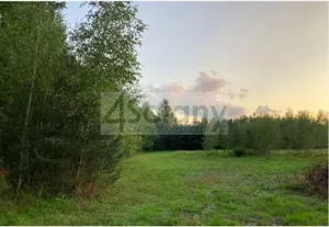 Działka 2 991,00 m², Siestrzeń, Sprzedaż