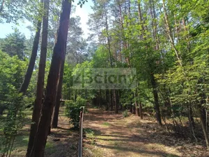 Działka 1 666,00 m², Siestrzeń, Sprzedaż