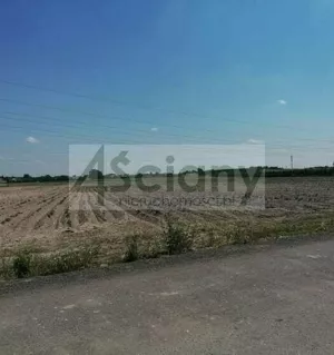 Działka 34 100,00 m², Sokołów, Sprzedaż
