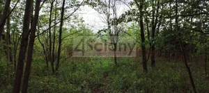 Działka 1 274,00 m², Stanisławów Drugi, Sprzedaż