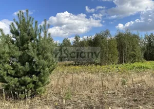 Działka 1 050,00 m², Stara Wieś, Sprzedaż
