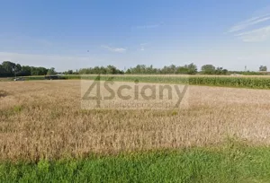 Działka 2 996,00 m², Stare Faszczyce, Sprzedaż