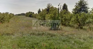 Działka 5 000,00 m², Stary Łajszczew, Sprzedaż