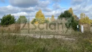 Działka 3 350,00 m², Stary Łajszczew, Sprzedaż