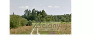 Działka 3 145,00 m², Strzeniówka, Sprzedaż
