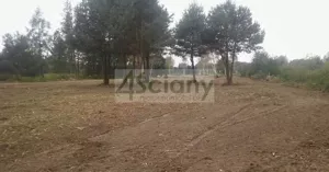 Działka 9 385,00 m², Strzeniówka, Sprzedaż