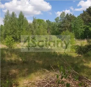 Działka 2 000,00 m², Strzeniówka, Sprzedaż
