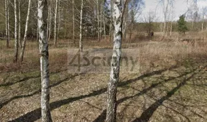 Działka 2 192,00 m², Strzeniówka, Sprzedaż
