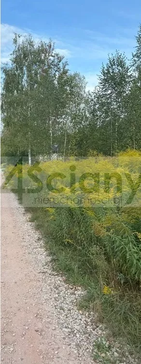 Działka 2 000,00 m², Strzeniówka, Sprzedaż