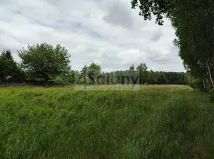 Działka 2 365,00 m², Strzeniówka, Sprzedaż