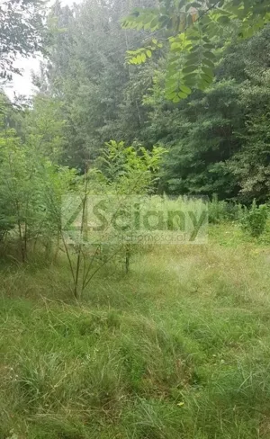 Działka 3 053,00 m², Sulejówek, Sprzedaż