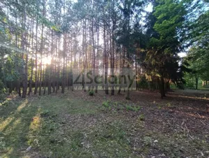 Działka 1 351,00 m², Sulejówek, Sprzedaż
