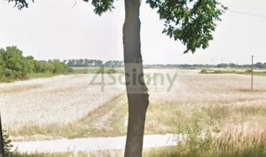 Działka 135 000,00 m², Święcice, Sprzedaż