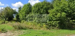 Działka 4 796,00 m², Szadkówek, Sprzedaż