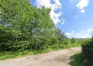 Działka 8 463,00 m², Szczęsne, Sprzedaż