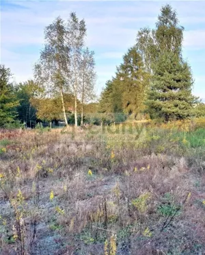Działka 1 604,00 m², Szczęsne, Sprzedaż