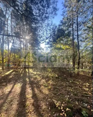 Działka 1 500,00 m², Trzciany, Sprzedaż