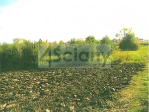 Działka 8 596,00 m², Warszawa, Białołęka, Sprzedaż