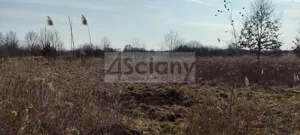 Działka 850,00 m², Warszawa, Wawer, Sprzedaż
