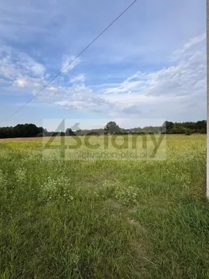 Działka 3 000,00 m², Wężyk, Sprzedaż