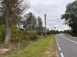 Działka 2 100,00 m², Wilków Polski, Sprzedaż