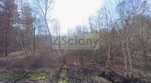 Działka 2 776,00 m², Władków, Sprzedaż