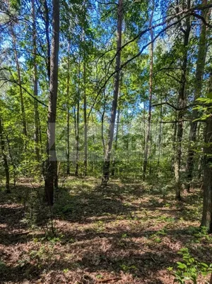 Działka 3 500,00 m², Władysławów, Sprzedaż