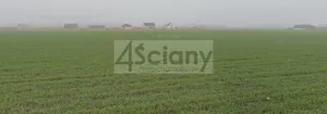 Działka 1 100,00 m², Wolica, Sprzedaż