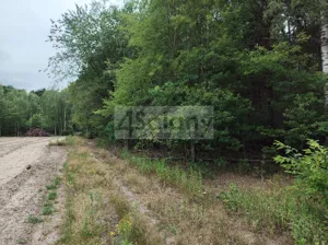 Działka 1 706,00 m², Wólka, Sprzedaż
