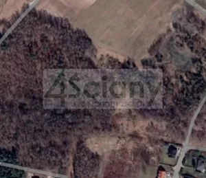 Działka 4 505,00 m², Wycinki Osowskie, Sprzedaż