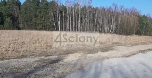 Działka 3 000,00 m², Wycześniak, Sprzedaż