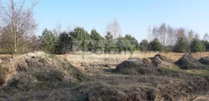 Działka 3 000,00 m², Wycześniak, Sprzedaż