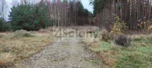 Działka 11 000,00 m², Wycześniak, Sprzedaż