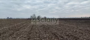 Działka 1 132,00 m², Zaborówek, Sprzedaż