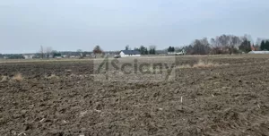 Działka 1 000,00 m², Zaborówek, Sprzedaż