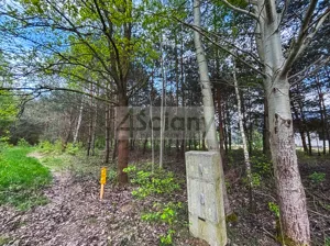 Działka 1 243,00 m², Zalesie, Sprzedaż