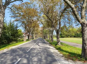 Działka 1 643,00 m², Zaręby, Sprzedaż