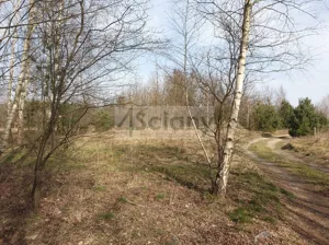Działka 3 400,00 m², Zator, Sprzedaż