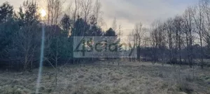 Działka 1 446,00 m², Żelechów, Sprzedaż